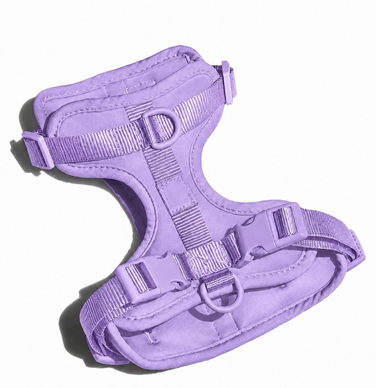 Which Harness Is Right For Your Dog?