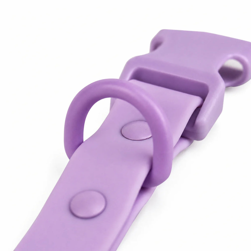 Durable Coated D-Ring