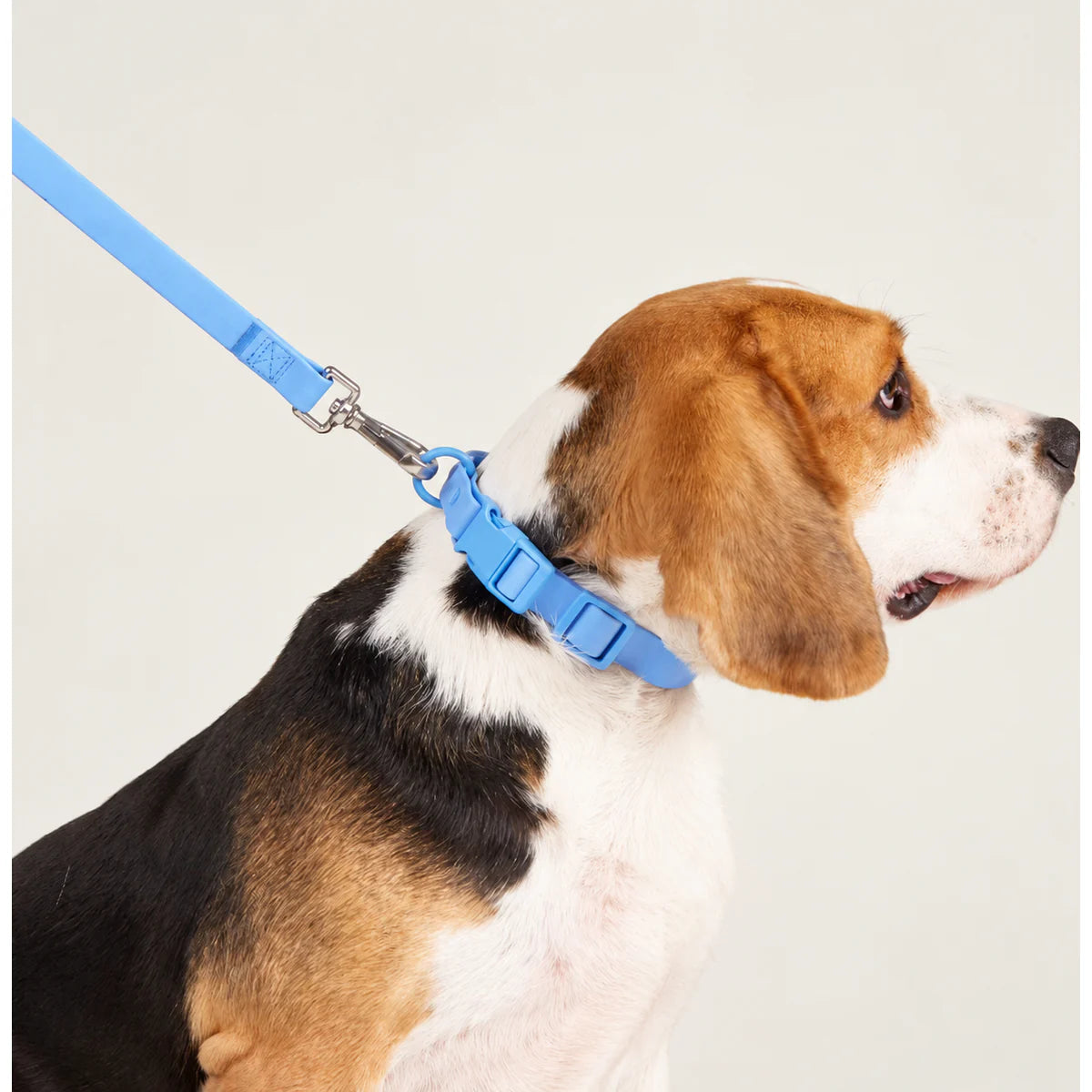 Waterproof Adjustable Quick-Release Dog Collar