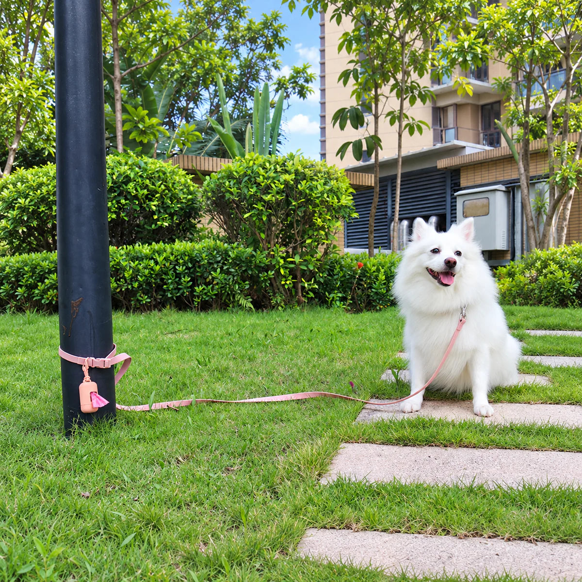 Waterproof Adjustable Dog Leash with Quick-Release Handle