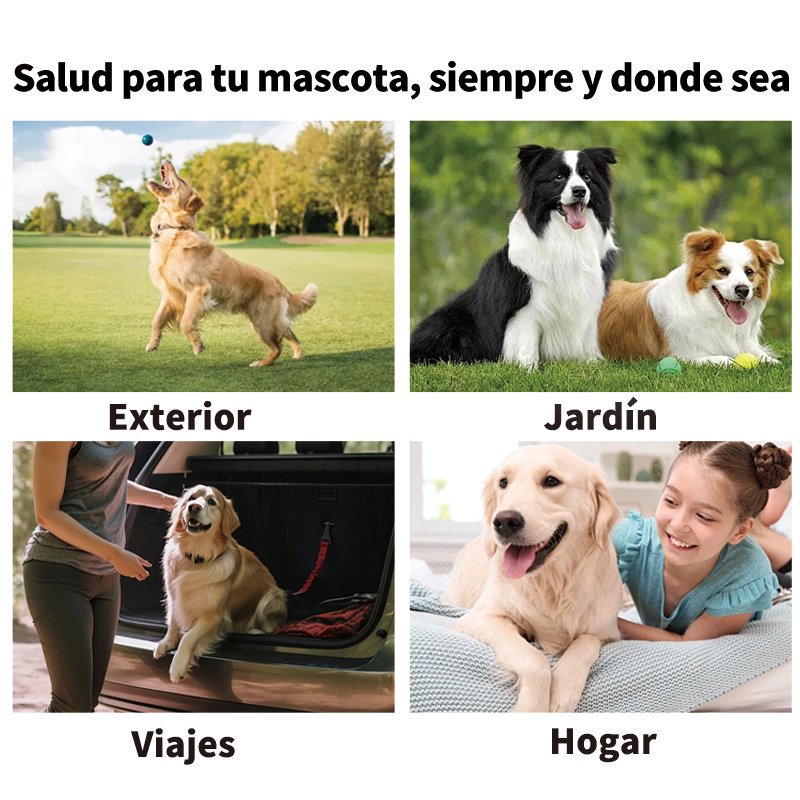Pet Eye Wipes