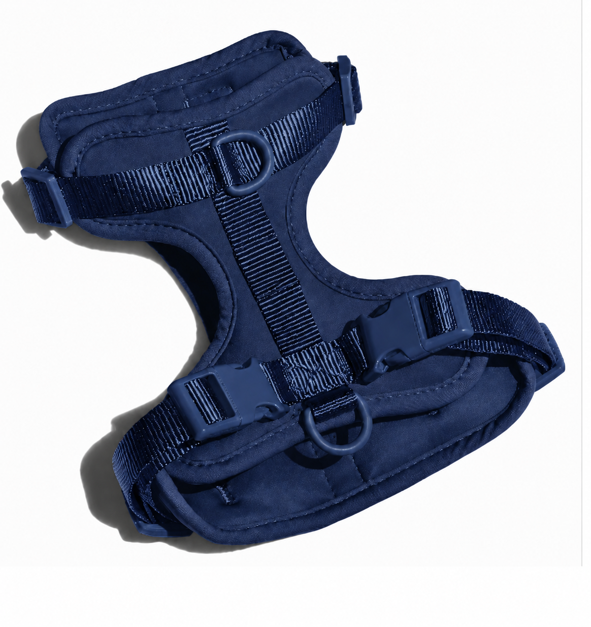 color:Navy