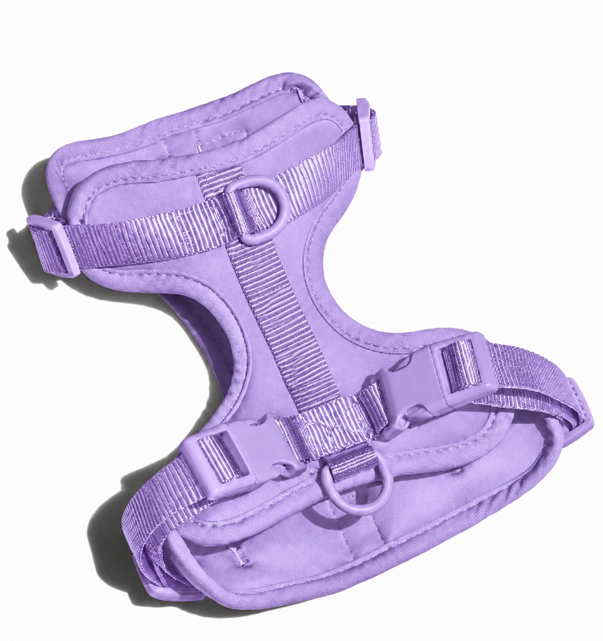 color:Purple