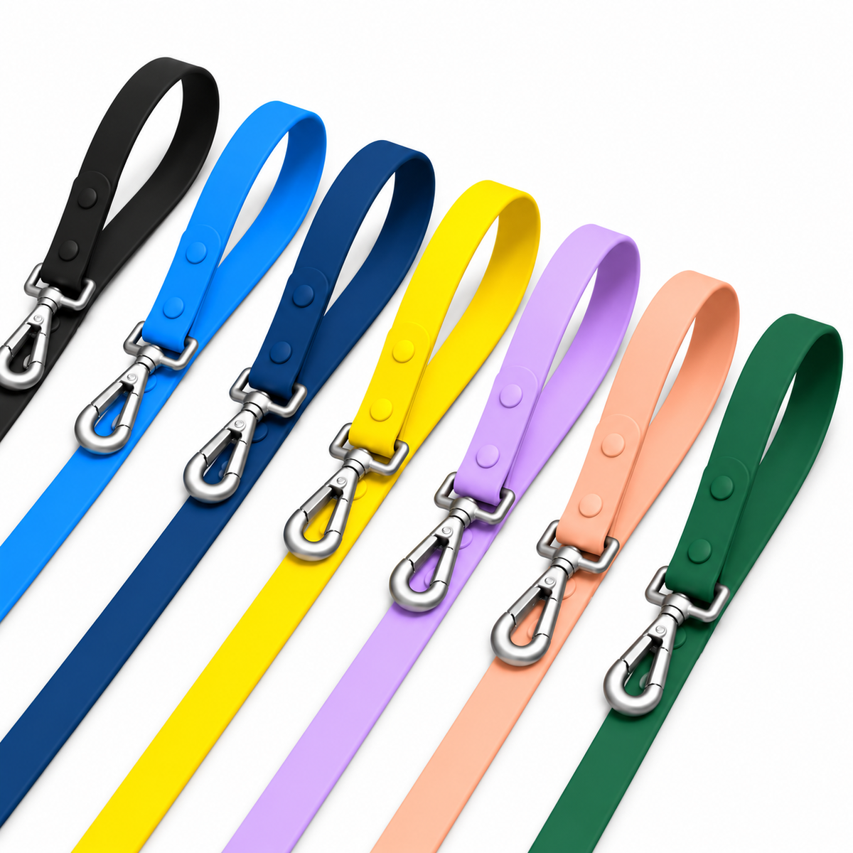 Regular Leash