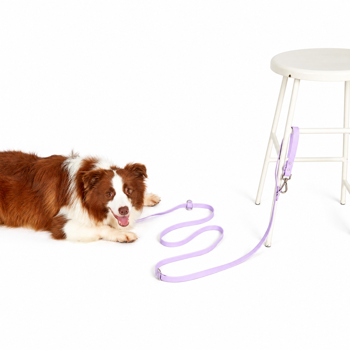 Hands-free Leash