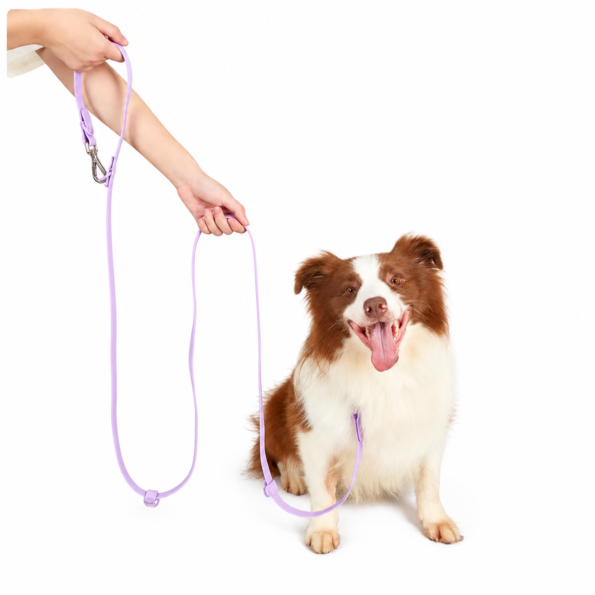 Hands-free Leash