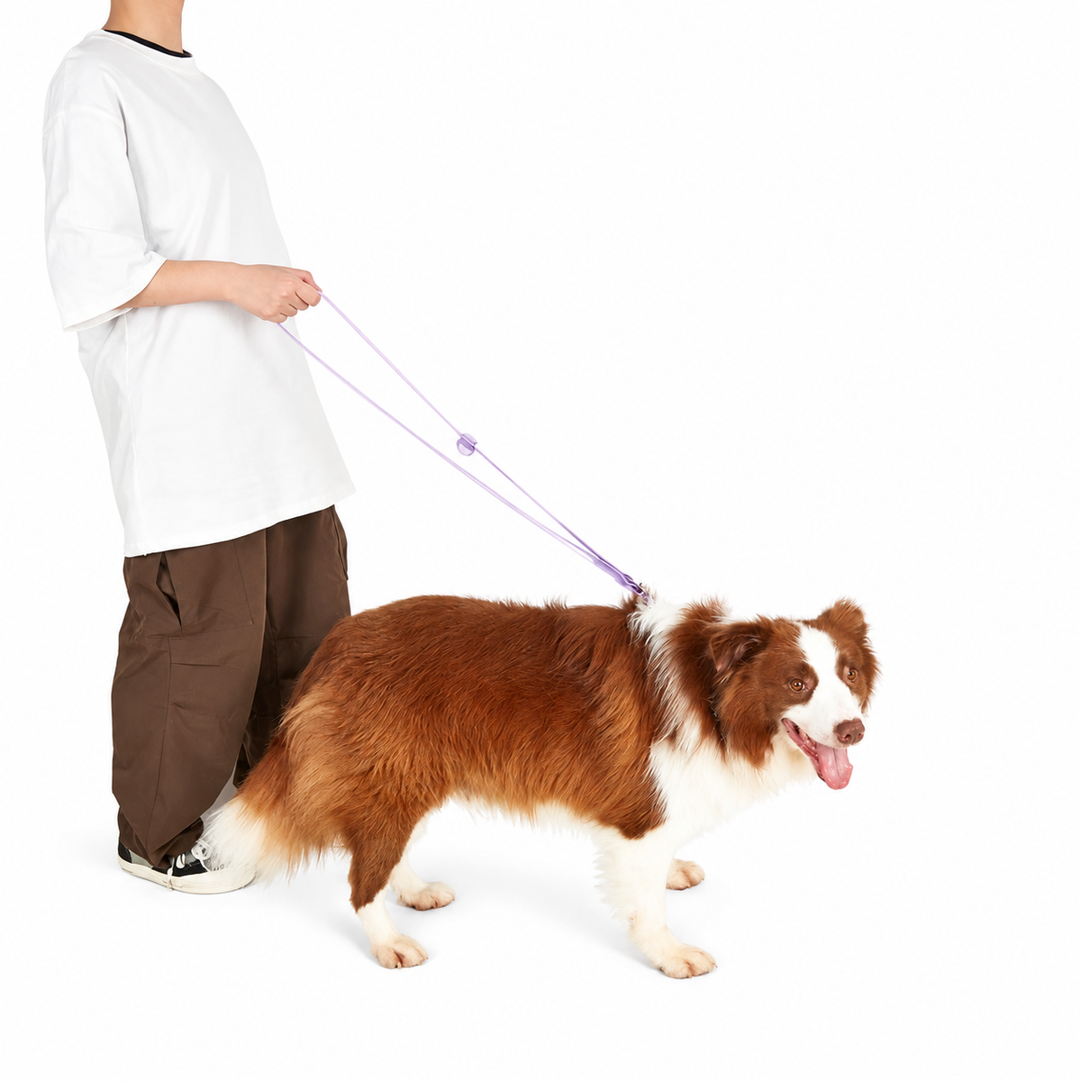 Hands-free Leash