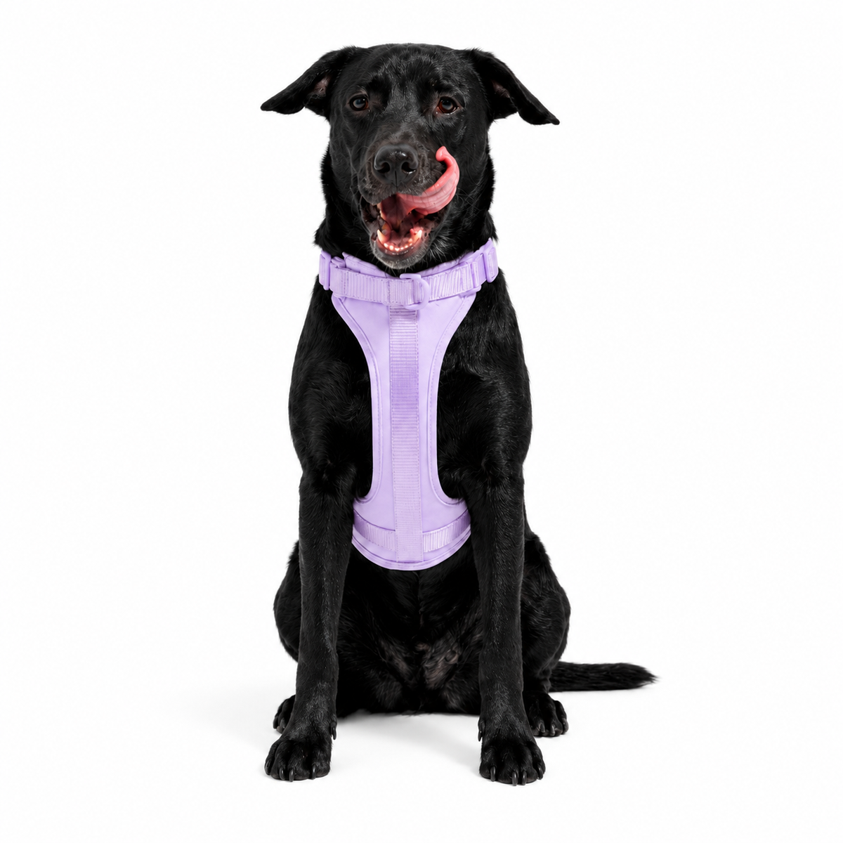 Dog Vest Harness