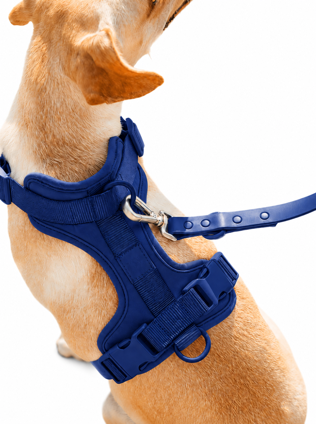 Dog Vest Harness