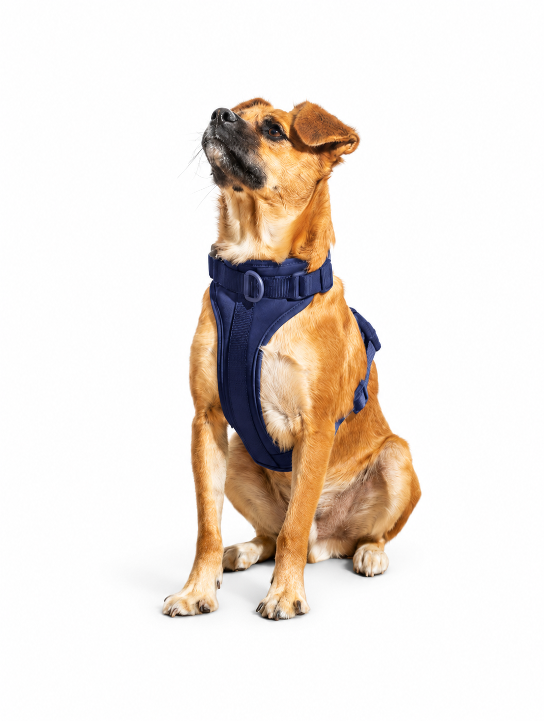 Dog Vest Harness