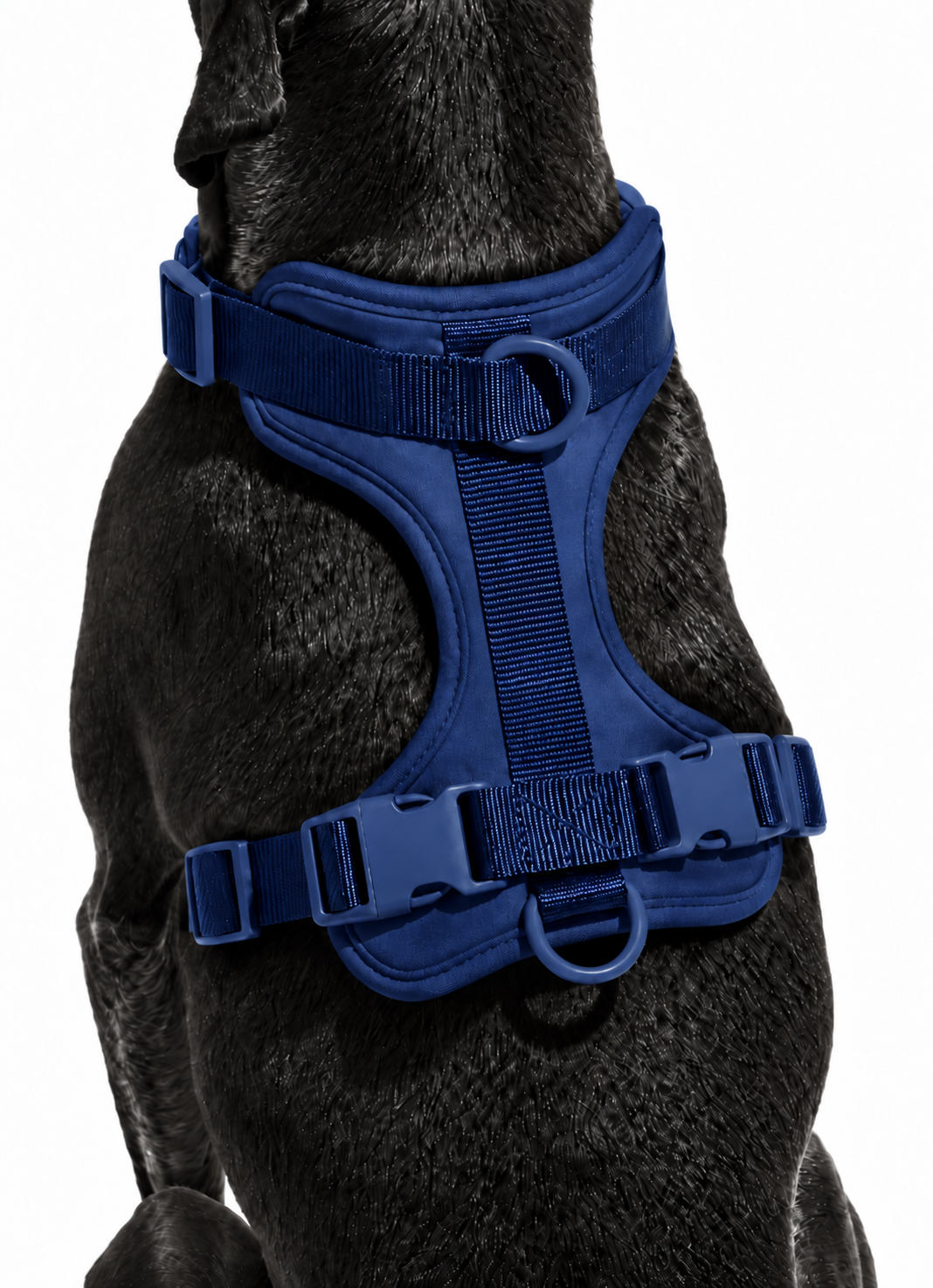 Hands-Free Walk Kit