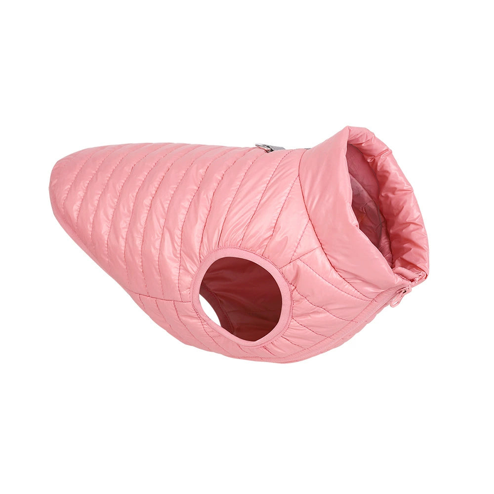color:Pink