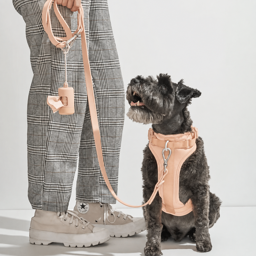 Dog Walk Kits