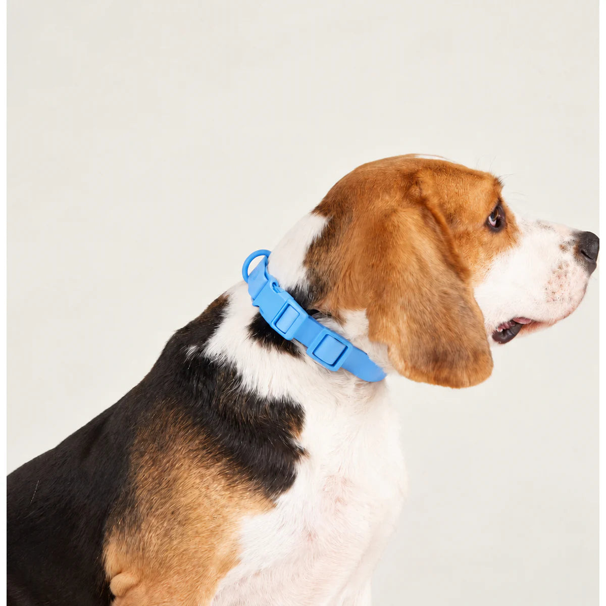 Waterproof Adjustable Quick-Release Dog Collar