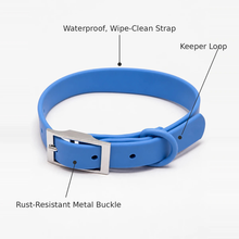 Adjustable Dog Collar