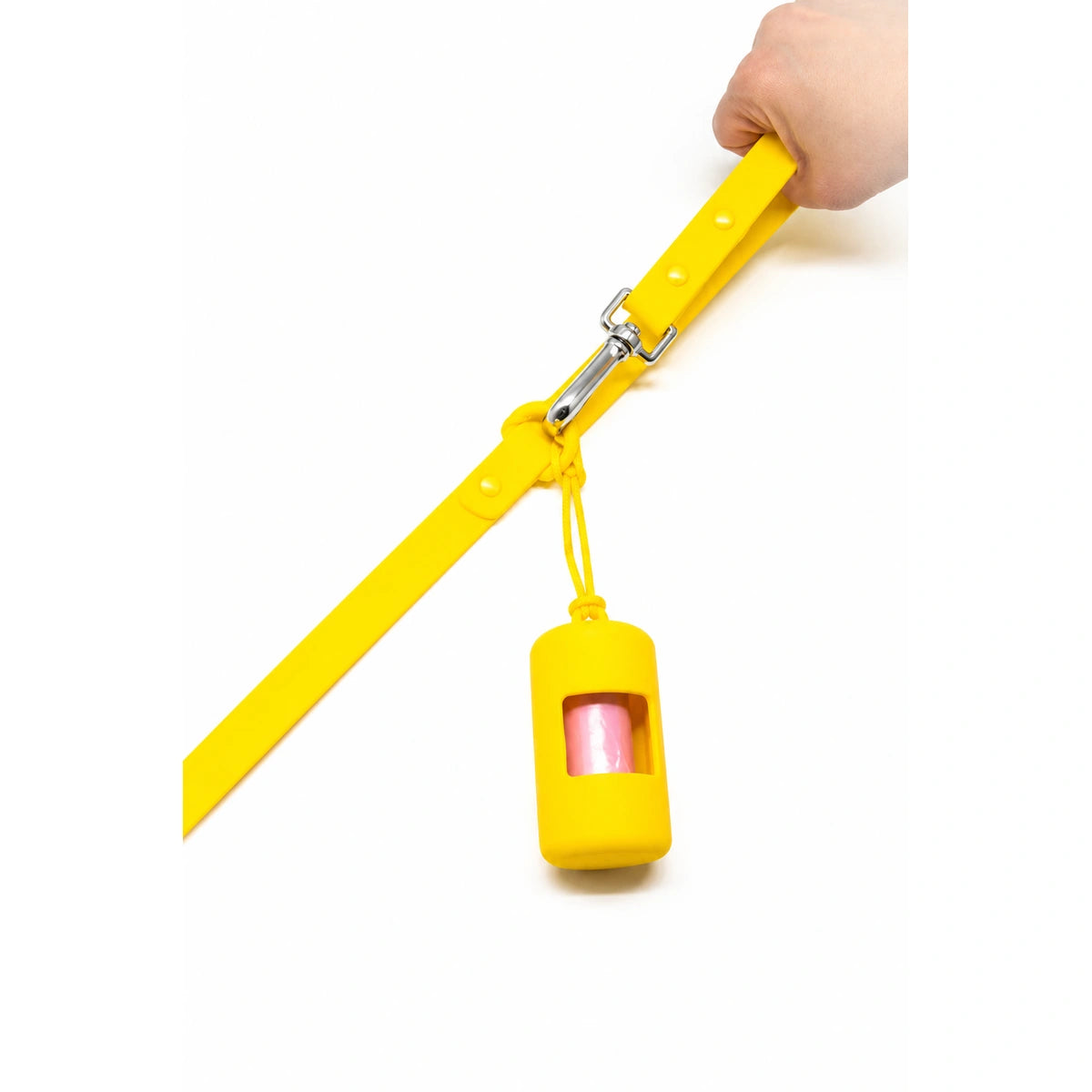 Regular Leash