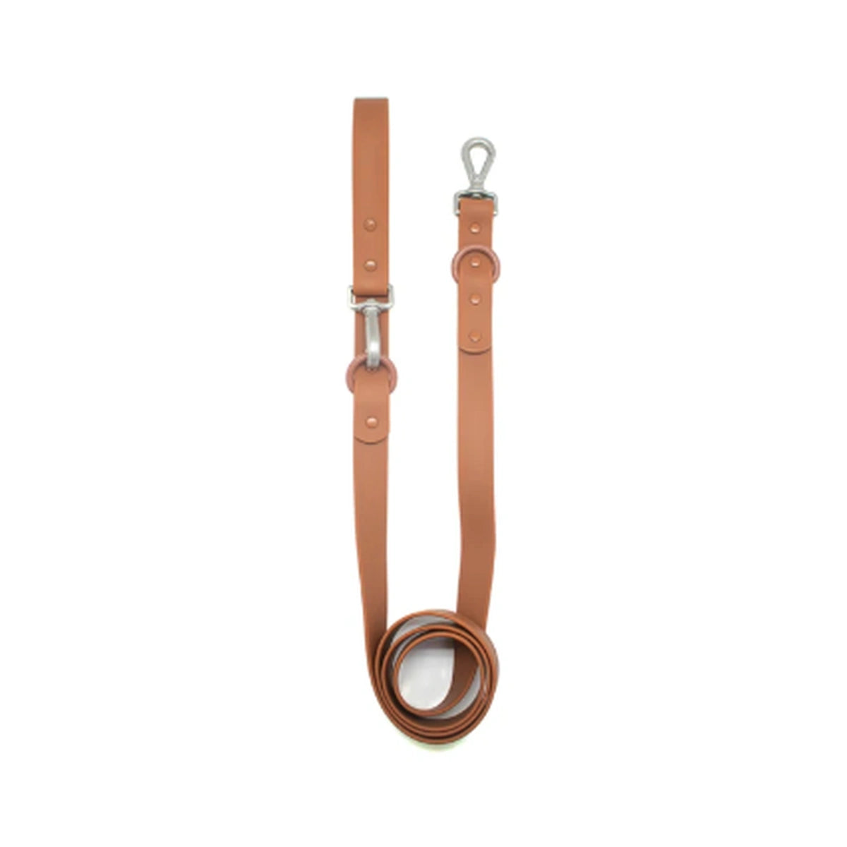 Regular Leash
