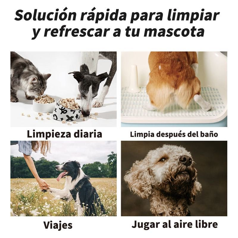 Pet Wipes